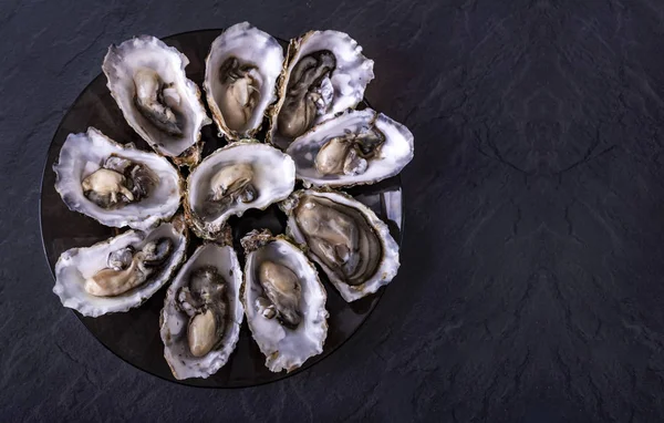 Open oysters on black round plate on dark grey background. Fresh Oysters close-up top view. Healthy sea food. Oyster dinner with champagne in restaurant. Luxury food.