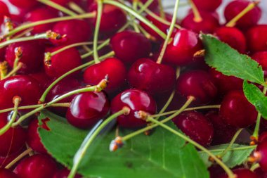 Yeşil yaprakları ile suda kırmızı kiraz