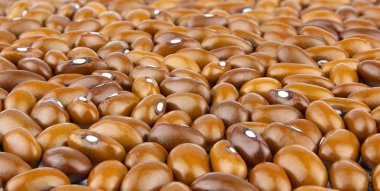 Renkli kuru fasulye closeup bir arka plan, üstten görünüm, fasulye arka plan. 