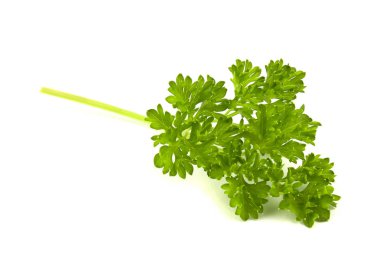izole üzerinde beyaz arka plan taze yeşil maydanoz yaprakları