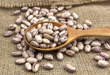 Tahta kaşık jüt üzerinde yalan fasulye tohumları tuval, sağlıklı gıda ve beslenme