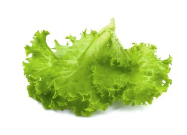 Salata yaprağı. Beyaz arkaplanda marul izole.