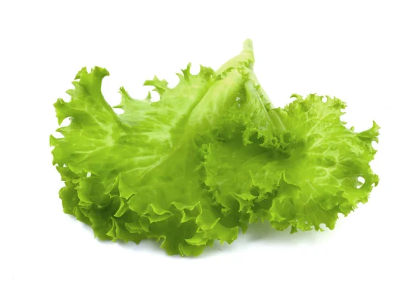 Salad Leaf Lettuce Isolated White Background — Stock Photo, Image