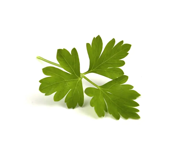 Frische Grüne Petersilienblätter Isoliert Auf Weißem Hintergrund — Stockfoto
