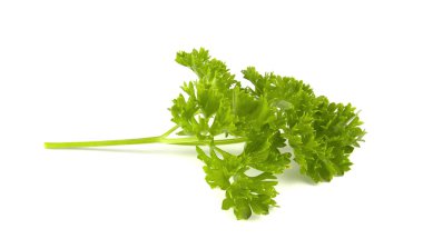 izole üzerinde beyaz arka plan taze yeşil maydanoz yaprakları