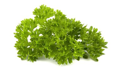 izole üzerinde beyaz arka plan taze yeşil maydanoz yaprakları