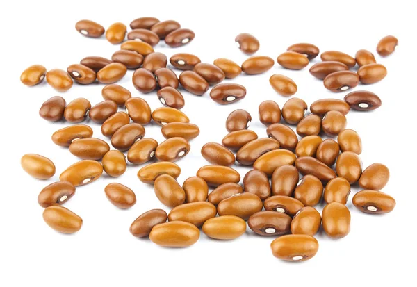 白い背景に分離された着色されたインゲン豆 — ストック写真