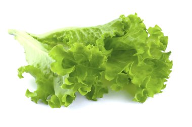 Salata yaprağı. Beyaz arkaplanda marul izole.