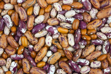 Renkli kuru fasulye closeup bir arka plan, üstten görünüm, fasulye arka plan. 