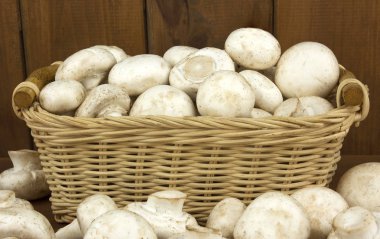 Champignon mantar sepeti ahşap arka plan üzerinde. Sonbaharda hasat. Gıda vejetaryen. Sebze. 