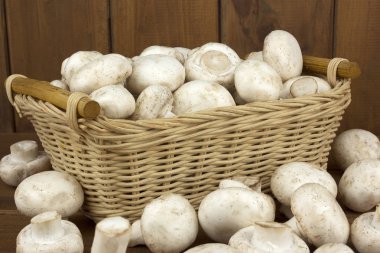 Champignon mantar sepeti ahşap arka plan üzerinde. Sonbaharda hasat. Gıda vejetaryen. Sebze. 