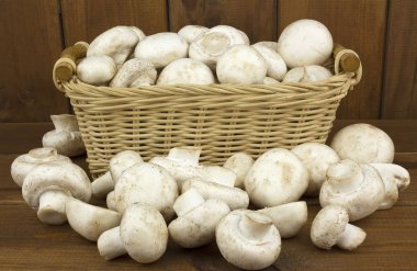 Champignon mantar sepeti ahşap arka plan üzerinde. Sonbaharda hasat. Gıda vejetaryen. Sebze. 