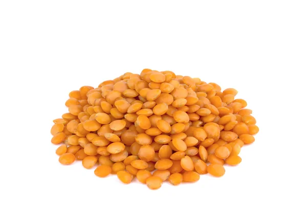 Lentil isolated on white background — Stock Photo, Image