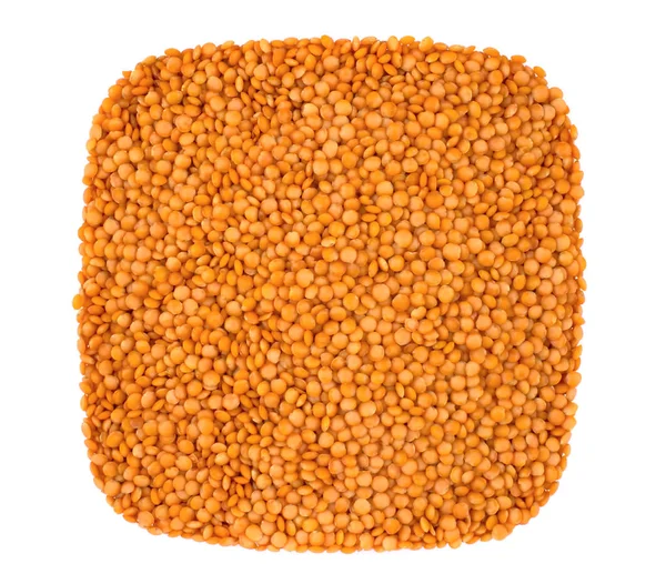 白い背景に孤立したレンズ豆 — ストック写真