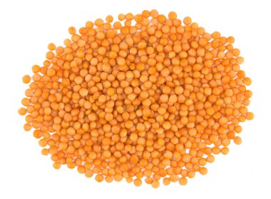 Beyaz arkaplanda mercimek izole