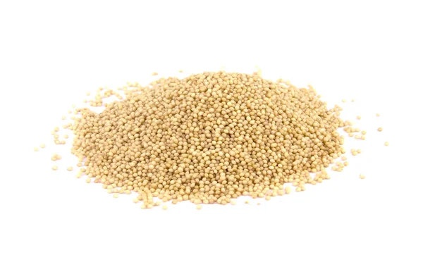 Amaranth nasiona izolowane na białym tle — Zdjęcie stockowe