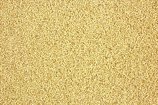 Amaranthová zrna jako textura pozadí potravin. — Stock fotografie