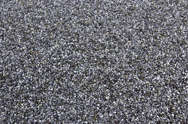 Poppy seeds background, tasty, natural — Stock Photo, Image