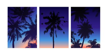 Tropik arka plan A4 kağıt şablonu. Günbatımı poster tasarımı resmi. Vektör palmiye yaprağı