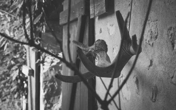 Ornamentos Uma Parede França — Fotografia de Stock