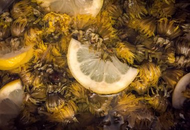 elderflower evde limonata yapmak