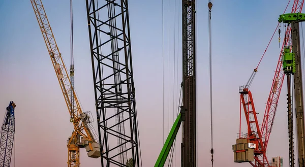 Grues Debout Contre Coucher Soleil — Photo