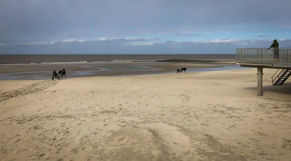 Amsterdam Beach Zimie — Zdjęcie stockowe