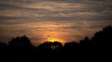 manzara Hollandalı doğa su günbatımı Hollanda ağaçlar