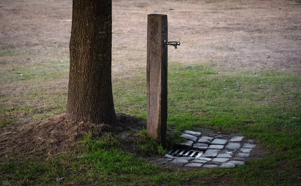 Landschap Water Van Nederlandse Natuur Bomen Zonsondergang Nederland — Stockfoto