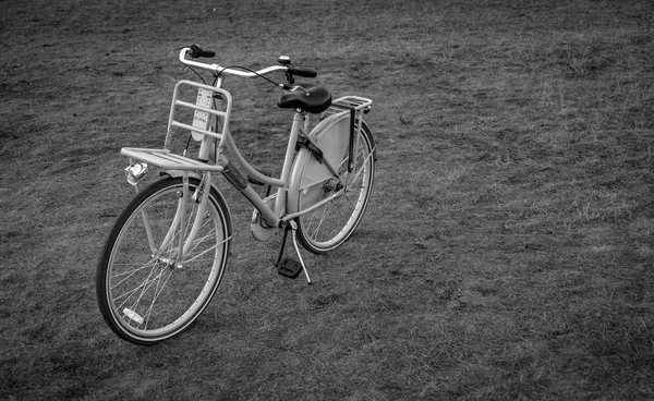 Fahrrad Auf Einem Feld Sommer Den Niederlanden — Stockfoto