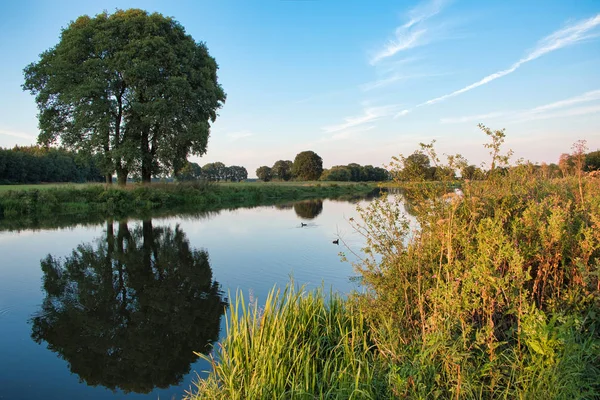 Paisagem Holandês Natureza Água Árvores Pôr Sol Países Baixos — Fotografia de Stock