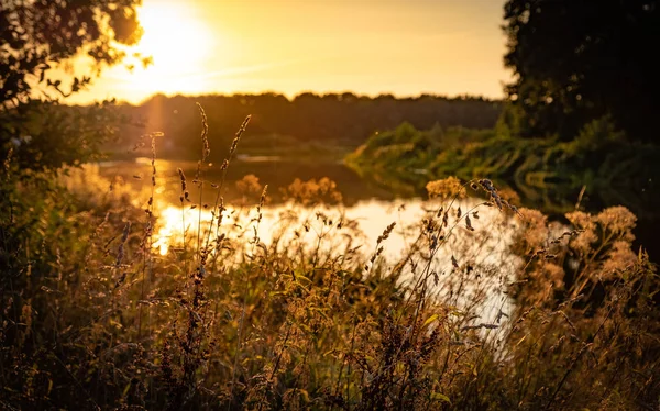 Paisagem Holandês Natureza Água Árvores Pôr Sol Países Baixos — Fotografia de Stock