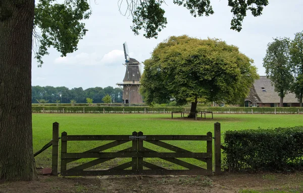 Landschap Water Van Nederlandse Natuur Bomen Zonsondergang Nederland — Stockfoto