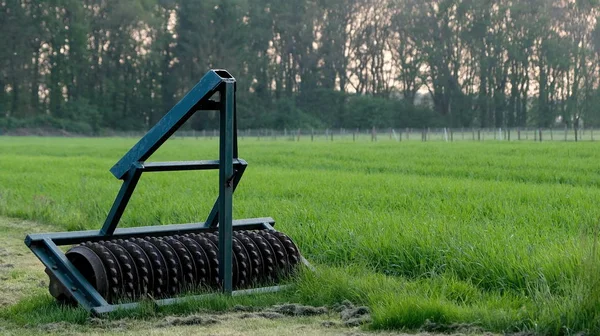 Földműveléshez Szükséges Egy Holland Réten Nyáron — Stock Fotó