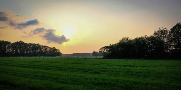 夏天在典型的荷兰风景上日落 — 图库照片