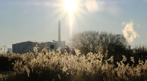 Coucher Soleil Dans Champ Côté Industrie Hiver — Photo