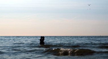 Açık bir günde mavi denize sarılmak iki kişi