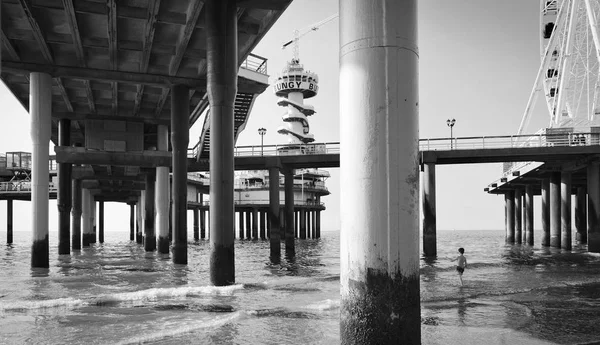 Low angle view on poles of a pier in the sea — Stock Photo, Image