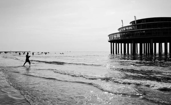 Lage hoek zicht op palen van een pier in de zee — Stockfoto