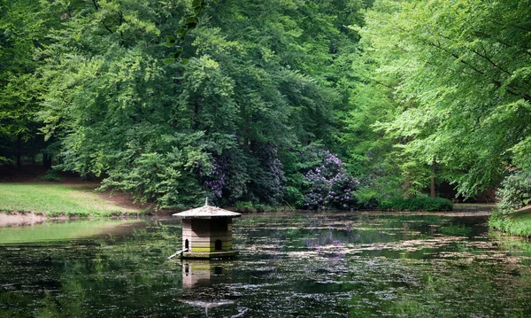 Lagoa com pequena cachoeira na floresta verde — Fotografia de Stock