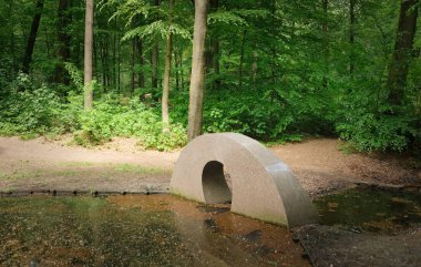 yeşil ormanda küçük şelale ile gölet