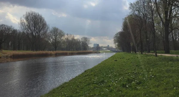 Reed del paesaggio polder olandese in una giornata nuvolosa — Foto Stock