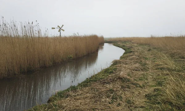 Trzcina holenderskiego poldera krajobrazu w pochmurny dzień — Zdjęcie stockowe