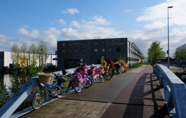 Amsterdam'da Hollanda köprüsünde çiçeklerle süslenmiş bisiklet