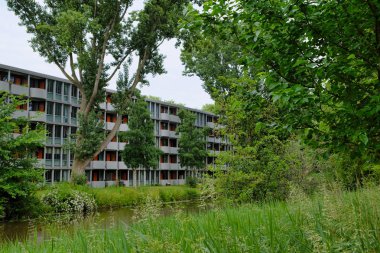 Ağaçlar ve mimari ile kentsel orman. Şehir ve doğanın uyumu. ağaçlar ve çim ile daire daireler