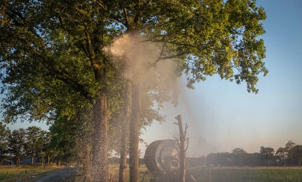 Gün batımında mısır tarlasını sulayan tarımsal sulama sisteminin silueti. Ortadaki pivot fıskiye sistemini kullanarak mısır tarlası sulama — Stok fotoğraf