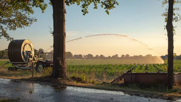 Silhouette du système d'irrigation agricole arrosant le champ de maïs au coucher du soleil. irrigation Cornfield à l'aide du système d'arrosage à pivot central — Photo