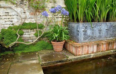 Sissinghurst Caslte Bahçeleri 'nde güzel çiçekler, ağaçlar, bitkiler ve bahçe düzenlemeleri.