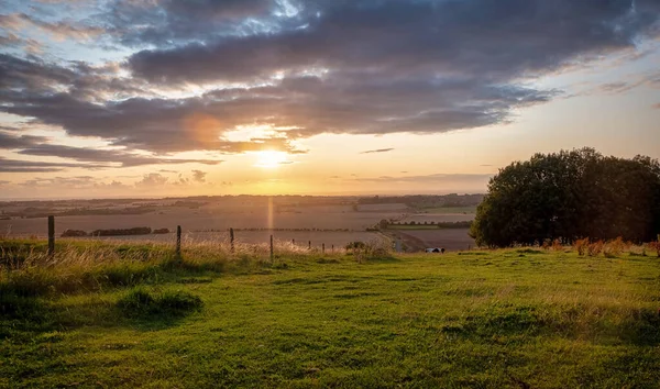 Cavalli al pascolo in un paesaggio rurale sotto la luce del sole caldo con i colori blu giallo e arancio pascolo alberi di erba e vista estesa — Foto Stock