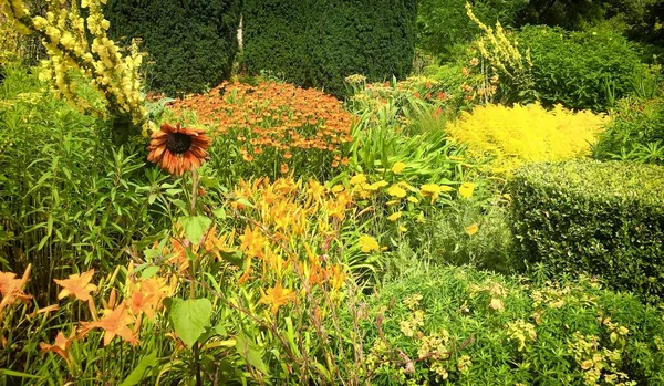 Gyönyörű virágok, fák és növények és kertészkedés a Sissinghurst Caslte Gardens-ben — Stock Fotó